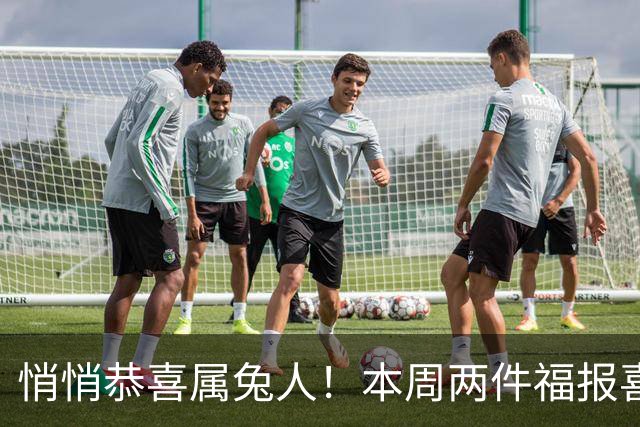 悄悄恭喜属兔人！本周两件福报喜事降临，苦尽甘来事事顺遂